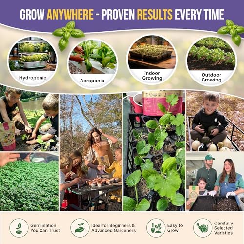 35 Medicinal & Tea Herb Seeds Variety Pack for Indoor & Outdoors. 16,335+ Non-GMO Heirloom Garden Seeds: Anise, Bergamot, Borage, Cilantro, Chamomile, Dandelion, Rosemary Seeds & More - Image 6