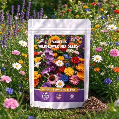5000+pcs Wildflower Chrysanthemum Seeds for Planting, Perennial Wildflower Hummingbirds Vine Flower Seeds Plants, Non-GMO Heirloom Blooms Open Pollinated Flowers Plants for Home Garden Outdoors by MIXRUGBACWATER
