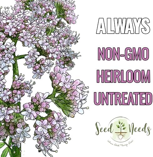 Seed Needs Valerian Seeds to Plant an Herb Garden - 1 Pack - Image 5