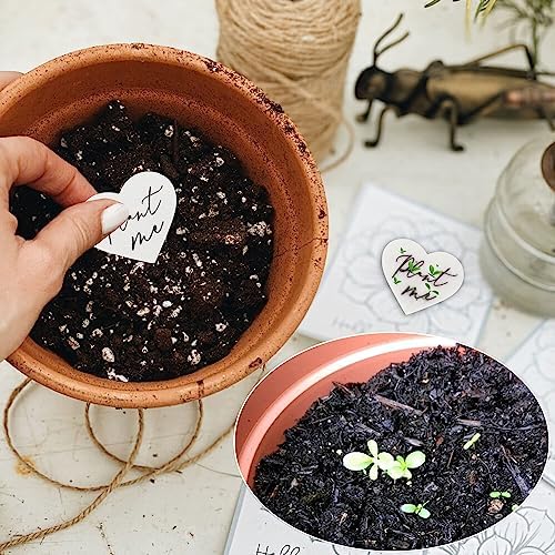 50 Plantable Wildflower Paper, Ecological Heart Shaped Babyshower Favors for Guests - Bridal Funeral Memorial Plantable Gifts NO Cards - Image 2