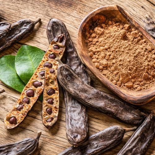 Carob Tree (Ceratonia Siliqua) – Live Mediterranean Fruit Tree – Hardy & Long-Living – USDA Certified - Image 3