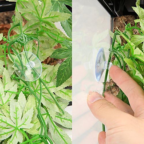 SLSON Reptile Plants Hanging Silk Terrarium Plants with Suction Cup for Bearded Dragons,Lizards,Geckos,Snake Pets and Hermit Crab Tank Habitat Decorations,Small Size,12 inches - Image 4