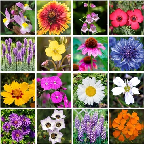 on the Go Regional Wildflower Seed Shaker - Northeast USA Wildflowers - 100% Pure Seed - Organic, Non-GMO - 21 Wildflower Variety Seeds of Annual & Perennial, 8oz - Image 4