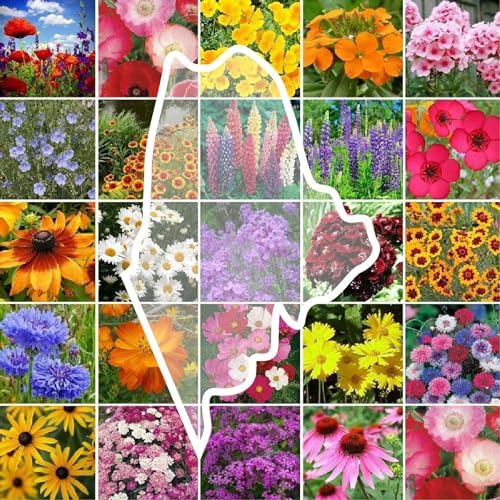 Eden Brothers Maine Wildflower Mixed Seeds for Planting, 1 lb by EdenBrothers