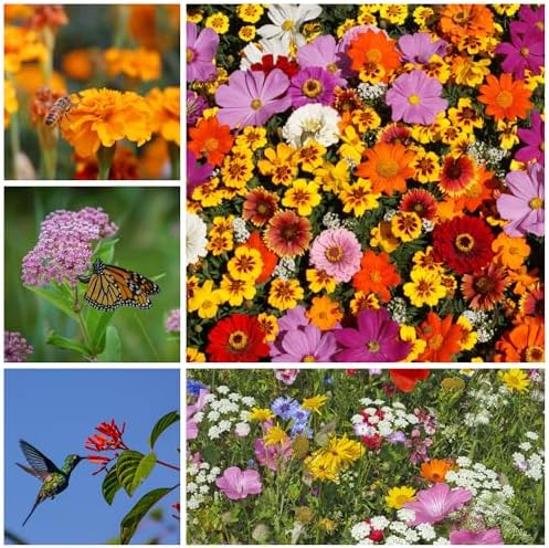 Mountain Valley Seed Co Pollinator Wildflower Seed Shaker Collection - Image 3