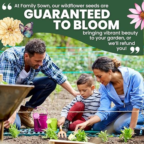 Hummingbird Butterfly Mix - Large 1 Ounce Packet - 7,500 Flower Seeds for Planting - Wildflower Mix - Image 6