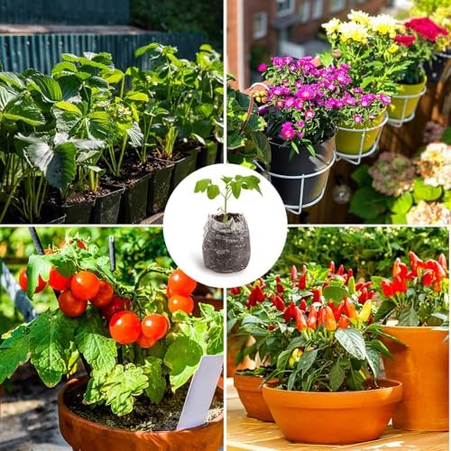 MAQIHAN 50PCS Peat Pellets for Seedlings - 30MM Seed Starter Soil Pods - Image 6