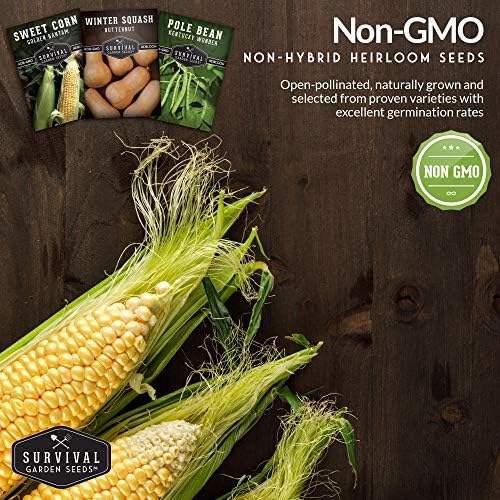 Three Sisters Seeds for Planting - Companion Gardening Collection - Image 5