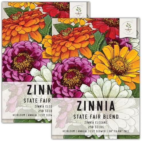Seed Needs State Fair Zinnia Seeds to Plant Cut Flowers - 2 Packs by SeedNeeds