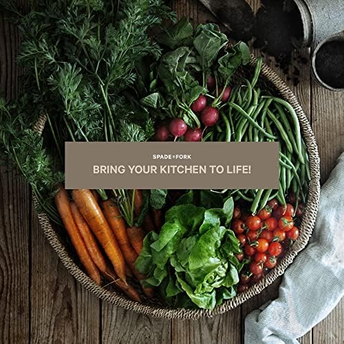Organic Indoor Vegetable Garden Starter Kit - Made in USA - Certified USDA Organic - 5 Seed Types Cherry Tomato, Lettuce, Carrot, Radish, Green Bean | Indoor Plant Seeds, Indoor Garden Kit, Plant Kit - Image 7