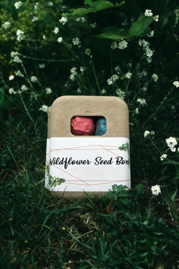 6Pack Colorful Wildflower Seed Ball Plantable Paper Favors, Easter Basket Essentials - Handmade Non-GMO, Gardening Gift for Beginner, Kids & Adults - Image 5