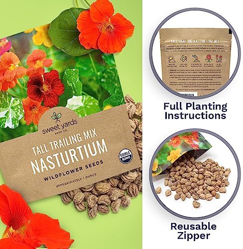 Nasturtium Seeds – Mixed Colors – Extra Large Packet – Over 200 Open Pollinated Non-GMO Flower Seeds – Tropaeolum majus - Image 5