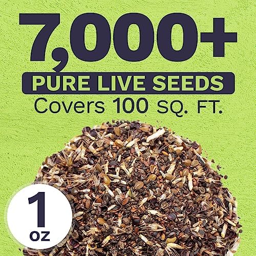 California Wildflower Mixture - Bulk 1 Ounce Packet - Over 7,000 Native Seeds - Open Pollinated and Non GMO - Image 3