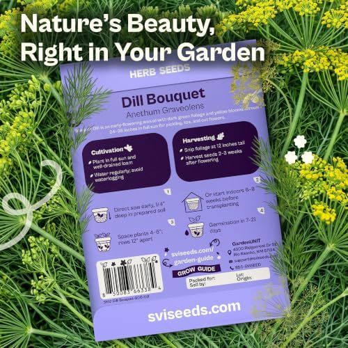SVI 900 Bouquet Dill Seeds (Anethum graveolens) – Heirloom Dill Seed Packets, Aromatic Leaves & Herbs – Culinary Herb Seeds for Outdoor & Indoor Herb Garden, Raised Beds, Containers - Image 2
