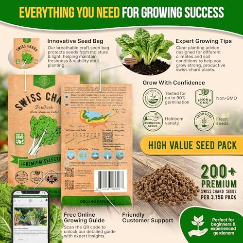 Swiss Chard Fordhook Seeds Pack 3.75 g - Over 200 Non-GMO Heirloom Swiss Chard Seeds for Planting Greens in Individual Seed Packet, Greens Seeds for Planting Indoor & Outdoor Garden - Image 3