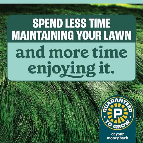 Pennington No Mow Mix, Fescue Grass Seeds for Lawn, 3 lb - Image 4