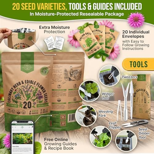 20 Culinary Herbs & Edible Flower Seed Variety Pack for Planting Indoor & Outdoors. 9500+ Non-GMO Heirloom Flower Seeds: Basil, Borage, Echinacea, Lavender, Oregano, Rosemary Seeds & More - Image 3