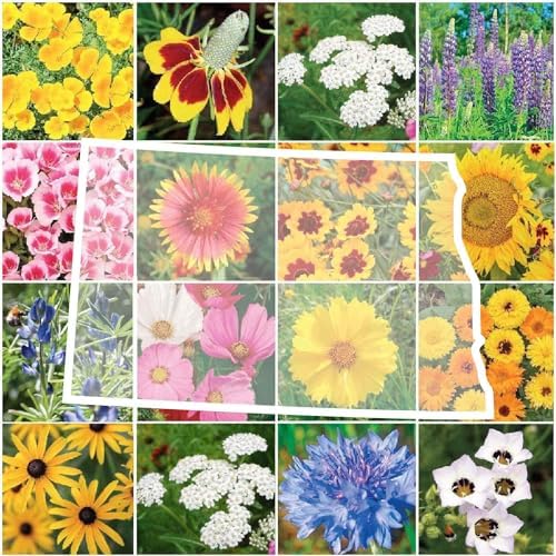 Eden Brothers North Dakota Wildflower Mixed Seeds for Planting, 1 oz by EdenBrothers