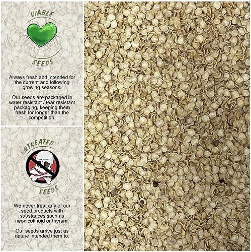Seed Needs Thick Cayenne Pepper Seeds to Plant Vegetables - 1 Pack - Image 3