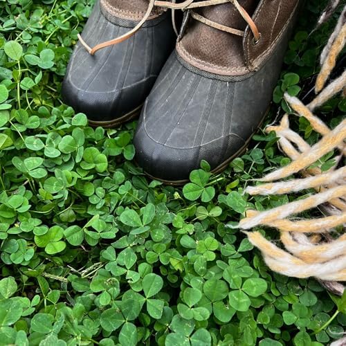 Mountain Valley Seed Co Micro Clover Seed for Lawn - 25 Lb Bulk by MountainValleySeedCompany