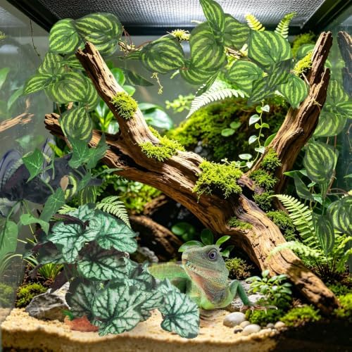 KATUMO 3PCS Reptile Plants, Terrarium Plant Artificial Decor, Fake Plant - Image 5