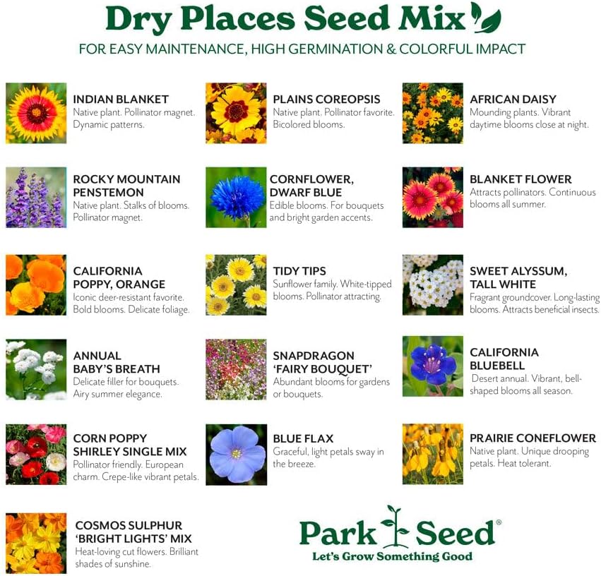 Park Seed Grow Your Own Vibrant Annual and Perennial Wildflower Garden Mixture, Easy to Grow Varieties for Pollinators and Spring Gardens - Dry Places Mix, 25 lbs - Image 3