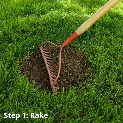 Jonathan Green Black Beauty Patcher Lawn Bare Spot Repair - 3.5 lb - Image 4