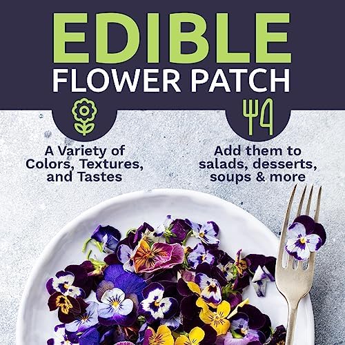 Wildflower Seeds Edible Flowers Mix - Bulk 1/4 Pound Bag Over 30,000 Open Pollinated Annual and Perennial Seeds - Image 6