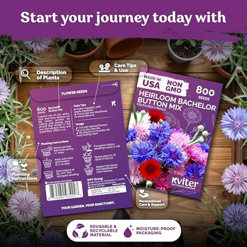 1,600 Mix Bachelor Button Heirloom Flower Seeds, Centaurea cyanus - Image 2