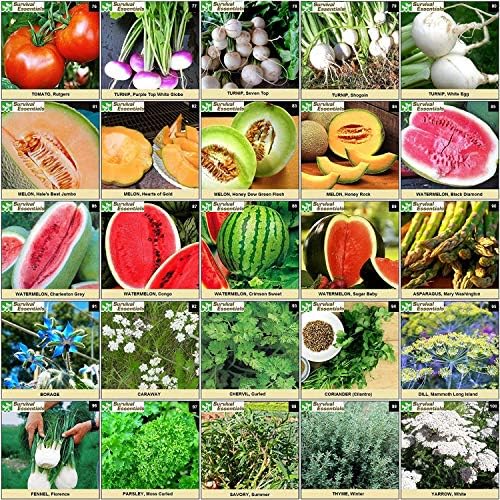 Heirloom Seed Vault, 17,500 Non-GMO Seeds-100 Variety - Image 5