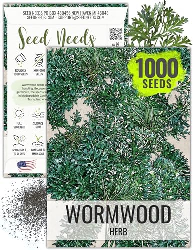 Seed Needs Wormwood Seeds to Plant an Herb Garden - 1 Pack by SeedNeeds