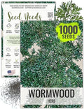 Seed Needs Wormwood Seeds to Plant an Herb Garden - 1 Pack by SeedNeeds