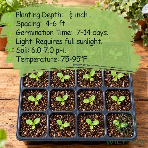 Bottle Gourd Seeds for Planting, Lagenaria siceraria, Heirloom Non-GMO Calabash Birdhouse Gourd Seeds, High Germination Climbing Vegetable Vine for Trellis Gardens Crafts and Containers, 20 Count - Image 5