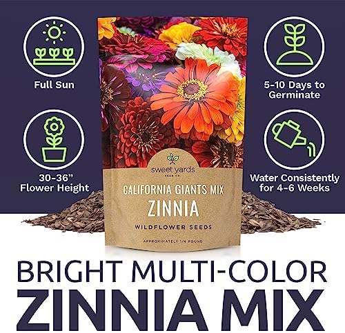 Bulk Zinnia Seeds - California Giants Mix - Bulk 1/4 Pound Bag Over 12,000 Flower Seeds - Mixed Colors and Large Blooms (Pack of 3) - Image 6