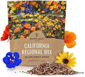 California Wildflower Mixture - Bulk 1 Ounce Packet - Over 7,000 Native Seeds - Open Pollinated and Non GMO by SweetYards