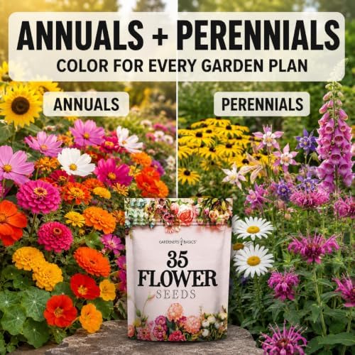 Gardeners Basics 35 Variety Heirloom Flower Seeds for Planting Outdoors - Image 4