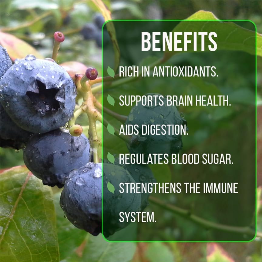 Pink Lemonade Blueberry (Emerald) - Image 4