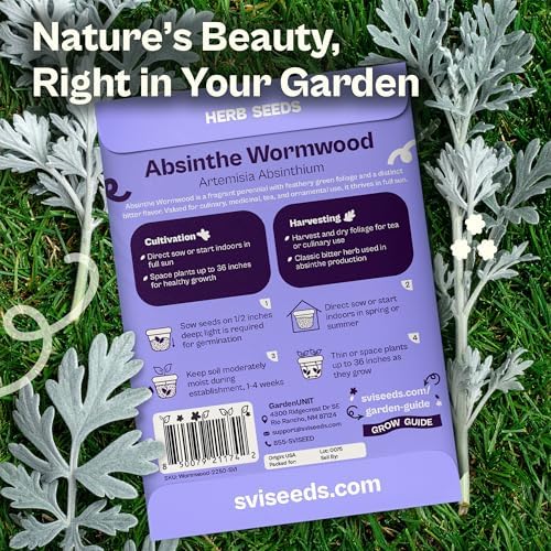 SVI 2250 Absinthe Wormwood Seeds (Artemisia Absinthium) – Wormwood Seed Pack, Worm Wood Tea, Herb Seed Packets – Non GMO Heirloom Culinary & Medicinal Herb Seeds for Indoor Garden & Outdoor Garden, - Image 2