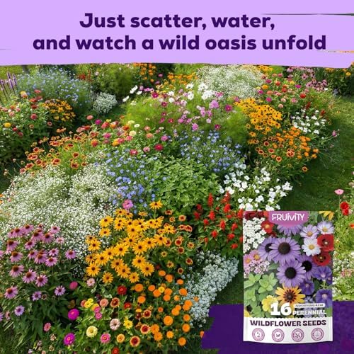 200,000+ Wildflower Seeds Bulk (4oz) – 16 Varieties Perennial & Annual Mix, Attract Bees, Butterflies & Hummingbirds, High Germination for Outdoor Pollinator Garden, Unique Gift for Mother, Women, Mom - Image 6
