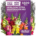 1,500 Tetra Mix Snapdragon Flower Seeds for Planting, Antirrhinum Majus by KVITER