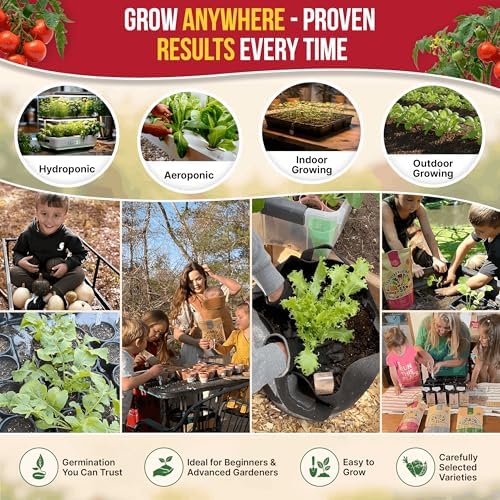 Tomato Large Cherry Seeds Pack 0.8 G - Over 300 of Non-GMO Heirloom Tomato Seeds for Planting Vegetables in Individual Seed Packet, Vegetable Seeds for Planting Home Garden Indoor & Outdoor Gardening - Image 5