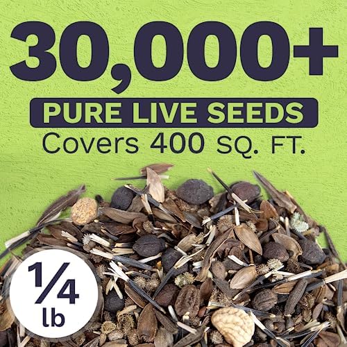 Bulk Wildflower Seeds Butterfly and Humming Bird Mix - 1/4 Pound Bag - Over 30,000 Open Pollinated Annual and Perennial Seeds - Image 3
