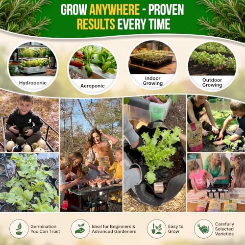 Rosemary Seeds Pack 0.5 G - Over 325 Non-GMO Heirloom Seeds for Planting Herbs in Individual Packet, Home Garden Indoor & Outdoor Gardening - Image 5
