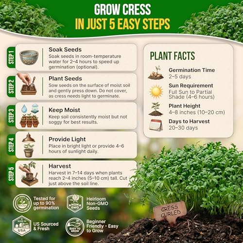Curled Cress Seeds Pack 5G - Over 2,150 Non-GMO Heirloom Cress Seeds for Planting Greens in Individual Seed Packet, Greens Seeds for Planting Home Garden Indoor & Outdoor Gardening - Image 6