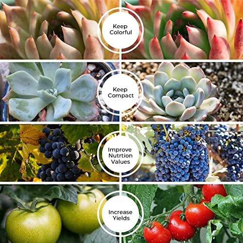 iPower LED Grow Light, 6000K Full Spectrum Clip Plant Growing Lamp with 84 White Red LEDs for Indoor Plants, 5-Level Dimmable, Auto On Off with 4/8/12H Timer - Image 7