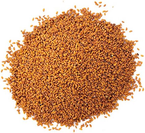 Garden Cress Seeds for Microgreens & Planting Outdoors | 1 LB Bulk Resealable Package | Non GMO Heirloom Variety | Rainbow Heirloom Seed Co. - Image 3