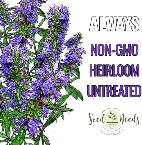 Seed Needs Blue Hyssop Seeds to Plant an Herb Garden - 1 Pack - Image 4