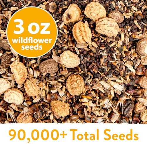 HOME GROWN 24 Wildflower Variety Mix 90,000+ Flower Seeds 3 oz - Image 5