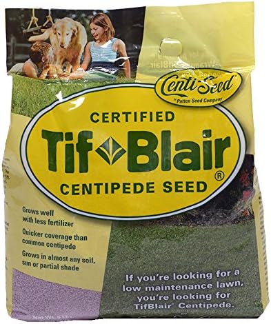 TifBlair Centipede Grass Seed (5 Lb.) Direct from The Farm by Patten+Seed+Company