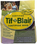 TifBlair Centipede Grass Seed (5 Lb.) Direct from The Farm by Patten+Seed+Company